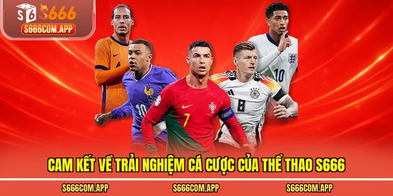 Cam kết về trải nghiệm cá cược của thể thao S666