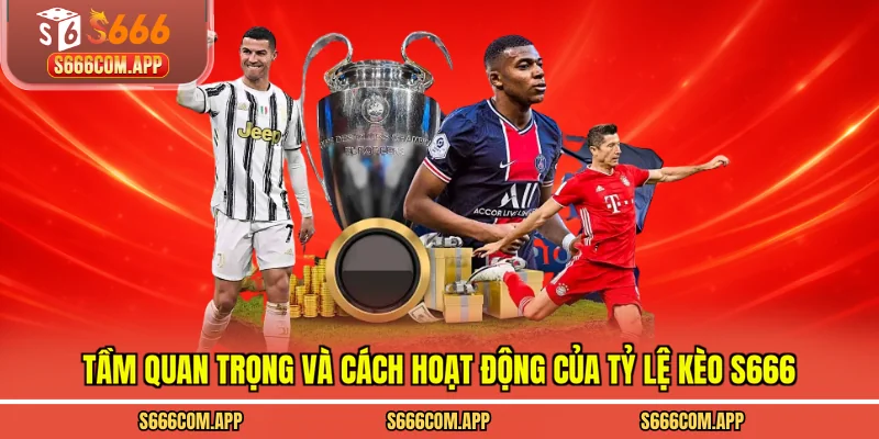 Tầm quan trọng và cách hoạt động của tỷ lệ kèo S666